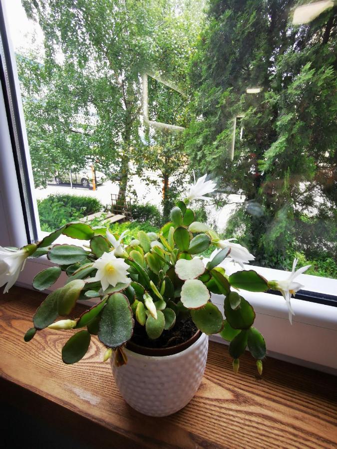 Apartament Przy Arsenale Wroclaw Ngoại thất bức ảnh