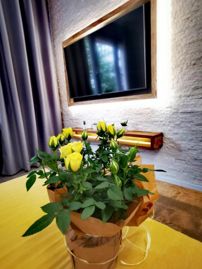 Apartament Przy Arsenale Wroclaw Ngoại thất bức ảnh